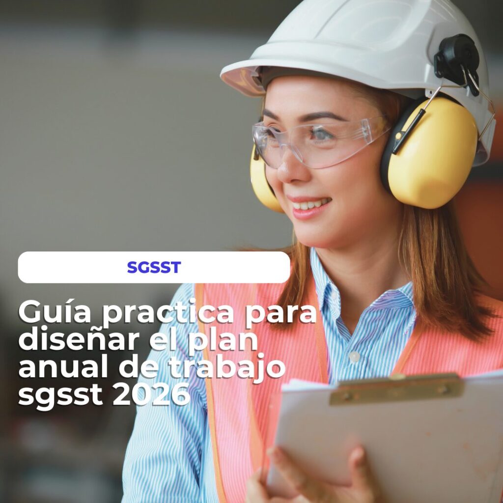 plan anual sgsst